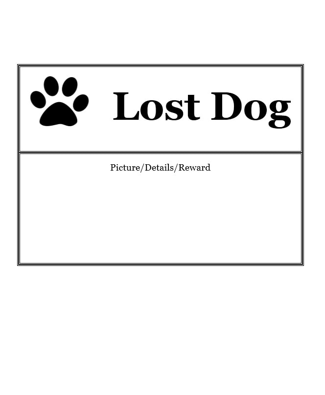 40 Lost Pet Flyers [Missing Cat / Dog Poster] TemplateArchive