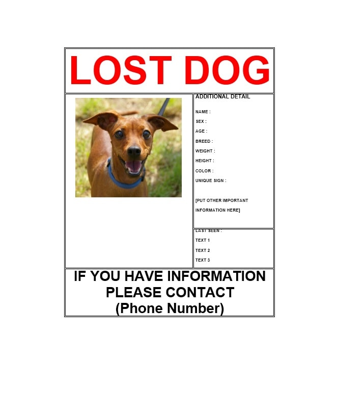 free-lost-dog-flyer-printable