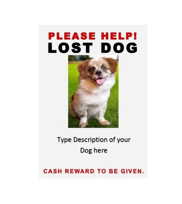 40 Lost Pet Flyers Missing Cat Dog Poster Templatearchive
