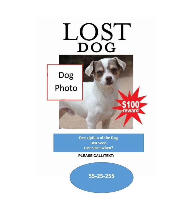 40 Lost Pet Flyers [Missing Cat / Dog Poster ...