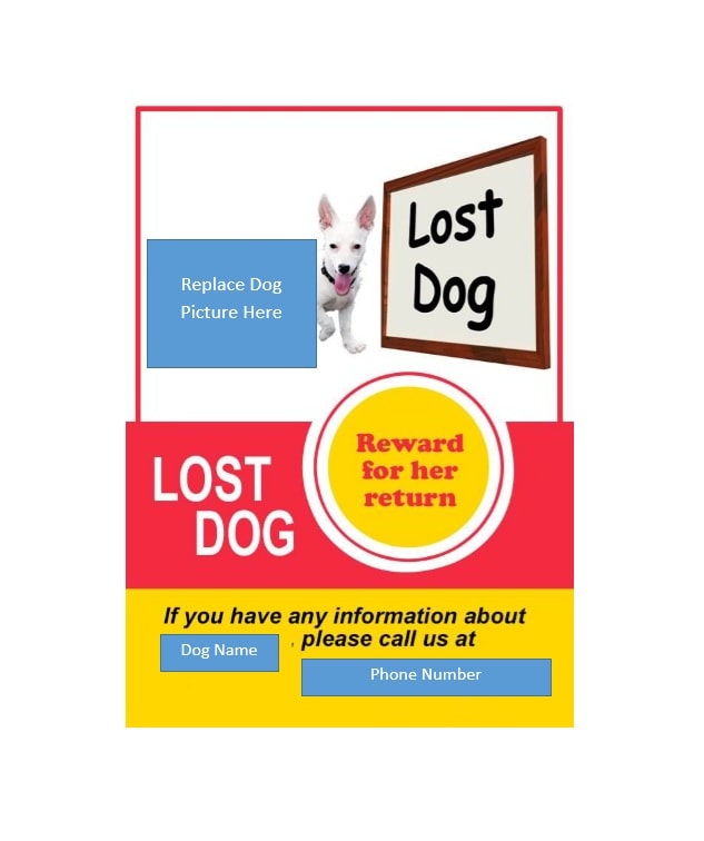 40 Lost Pet Flyers [Missing Cat / Dog Poster] - TemplateArchive