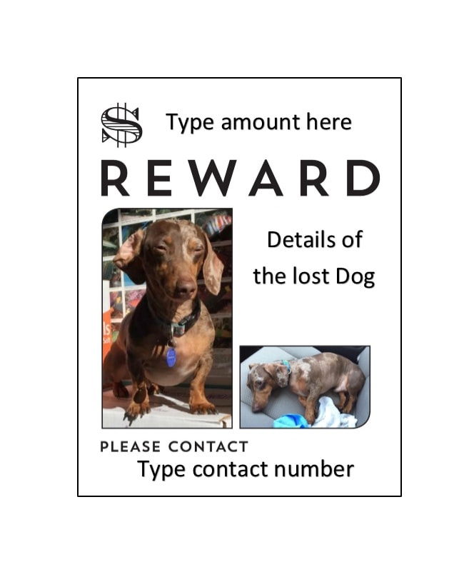 Lost Dog Flyer Template