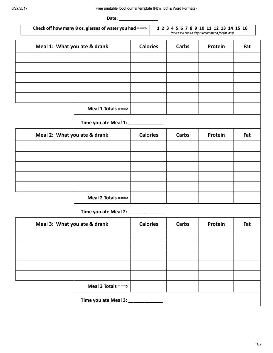 diabetic-food-diary-template-excel-database