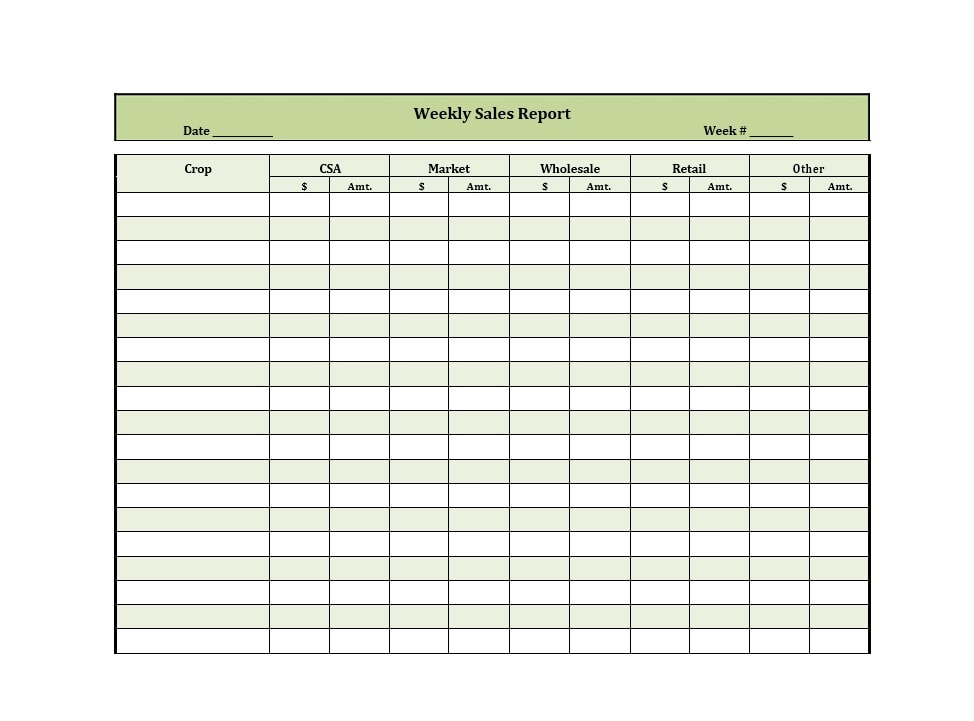 Daily Sales Report Template Excel Free