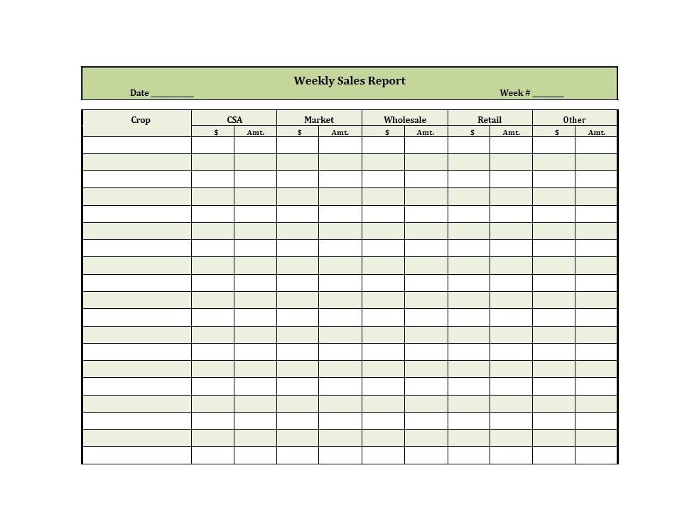 Employee Weekly Report Template from templatearchive.com