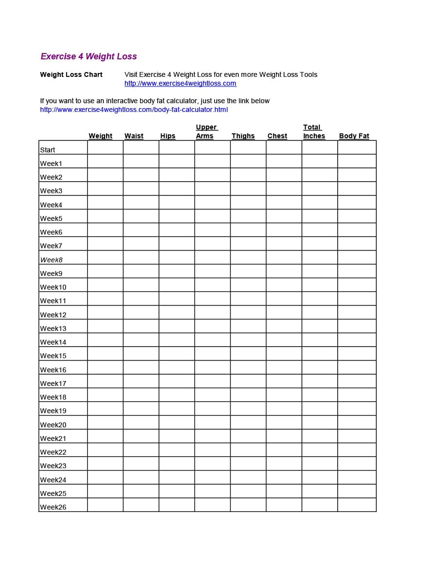 Excel Template Fitness Measurements Women from templatearchive.com