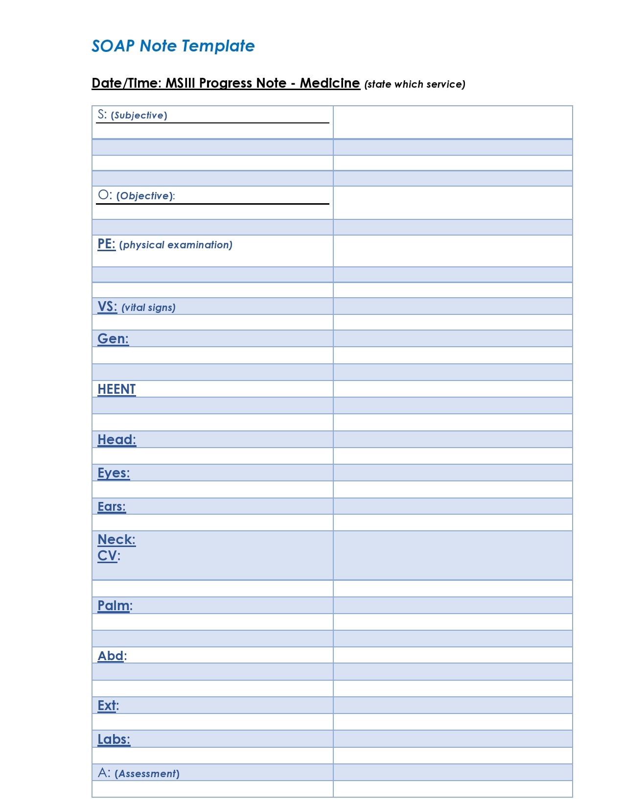 20 Blank SOAP Note Templates (+Examples) - TemplateArchive With Case Management Progress Note Template