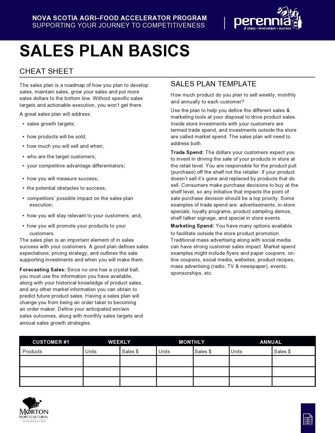 sales strategies template 15