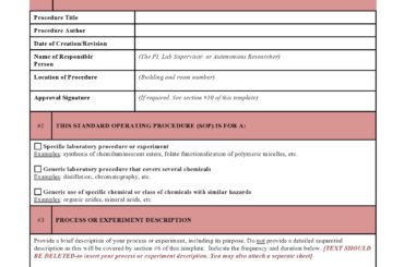 standard operating procedure template 16